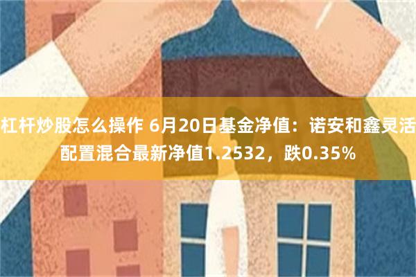 杠杆炒股怎么操作 6月20日基金净值：诺安和鑫灵活配置混