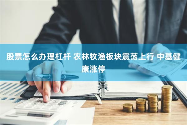 股票怎么办理杠杆 农林牧渔板块震荡上行 中基健康涨停