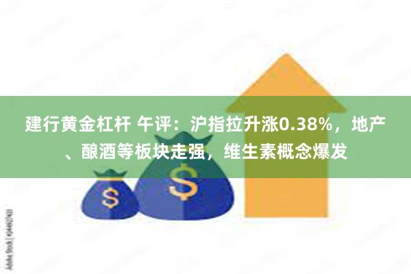 建行黄金杠杆 午评：沪指拉升涨0.38%，地产、酿酒等板块走强，维生素概念爆发