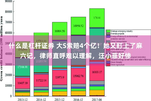 什么是杠杆证券 大S索赔4个亿！她又盯上了麻六记，律师直呼难以理解，汪小菲好惨