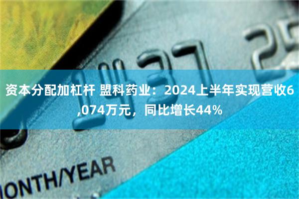 资本分配加杠杆 盟科药业：2024上半年实现营收6,074万元，同比增长44%