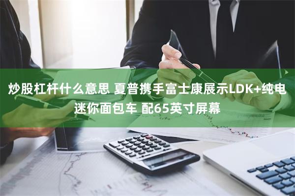 炒股杠杆什么意思 夏普携手富士康展示LDK+纯电迷你面包车 